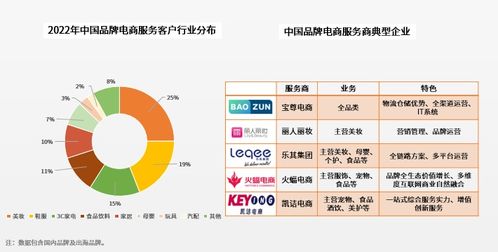 千亿品牌电商市场再度生长,明星企业如何谋求生存之法