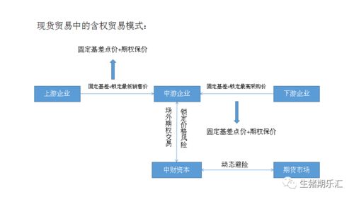 现货贸易中的含权贸易